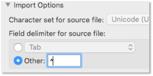 FileMaker 18 New Import Interface