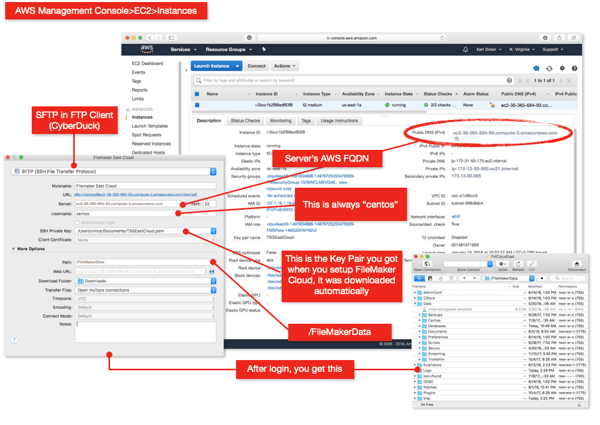 FileMaker Cloud Access Cheat Sheet