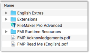 FileMaker 18 version number in product name