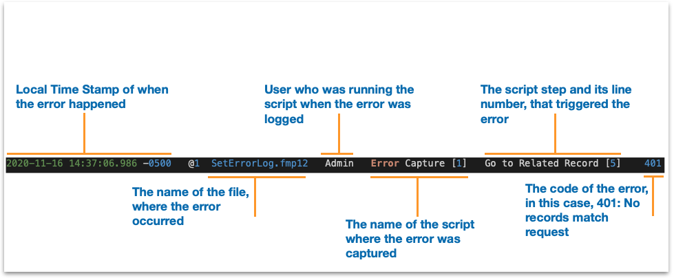 FileMaker-Error-Logs-2