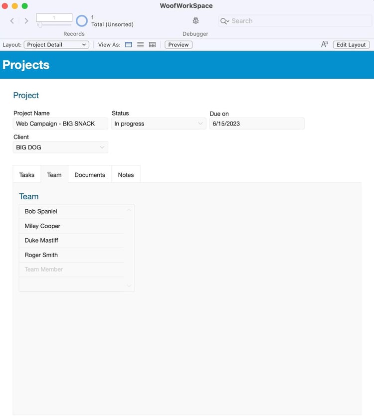 FileMaker Project Management Template