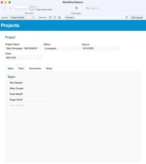 FileMaker-project-management-template-10